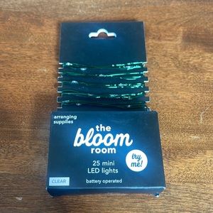 Bloom Room 25 ct LED Mini Green Wire w/ Clear String Lights